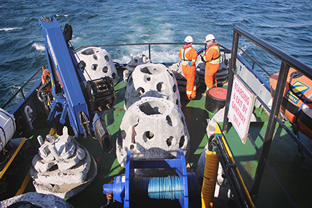 CFER Reef deployment - body 4