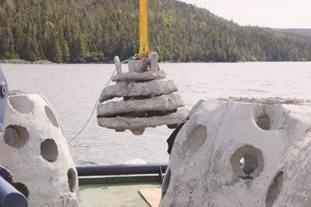 CFER Reef deployment - body 3